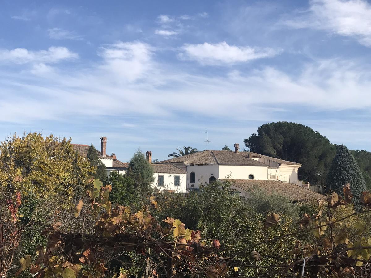 Casa Vacanze Etna Piedimonte Etneo Exterior photo